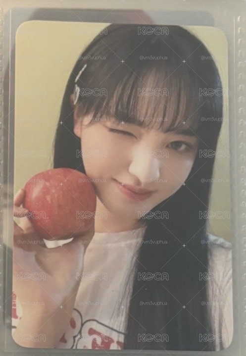 蘋果栗
