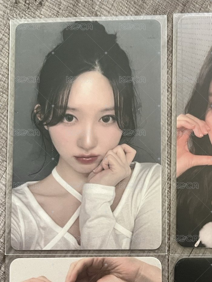 松鼠