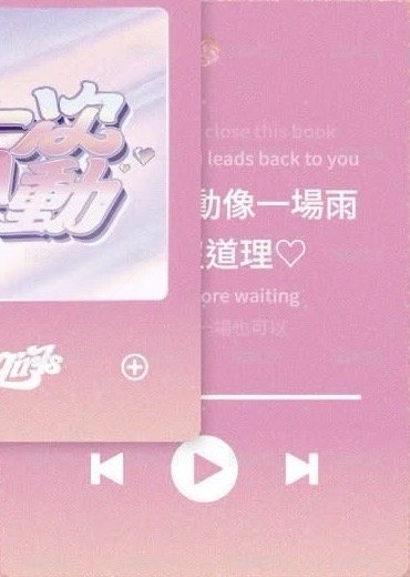 粉 小雛菊