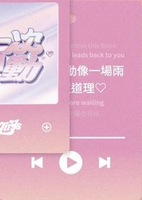 粉 小雛菊