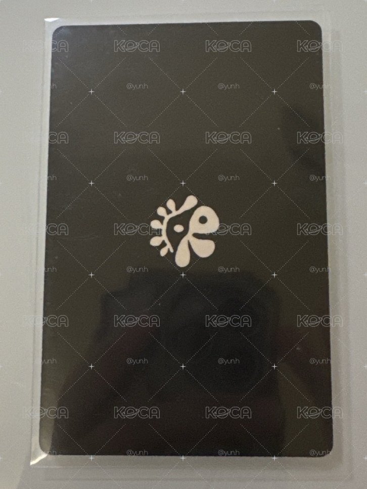 cts黑膠馬丁