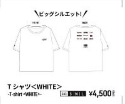 Search image