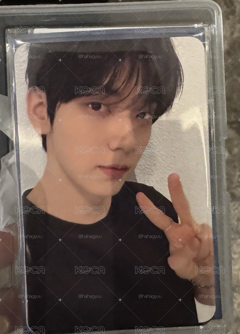 txt ms1.0 中簽卡一套