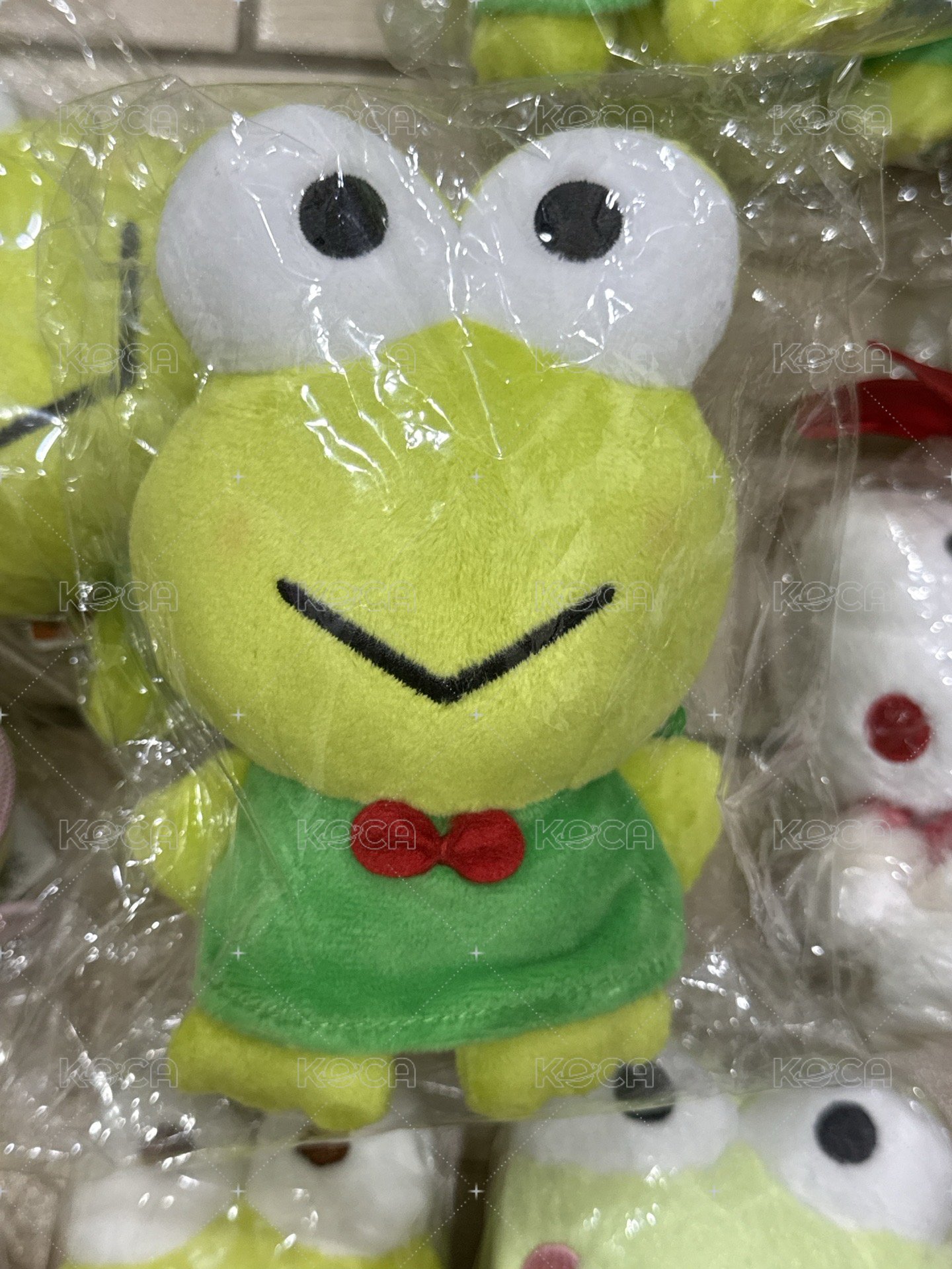 豆豆絨毛