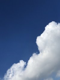 日顛