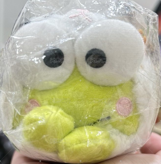 三色貓