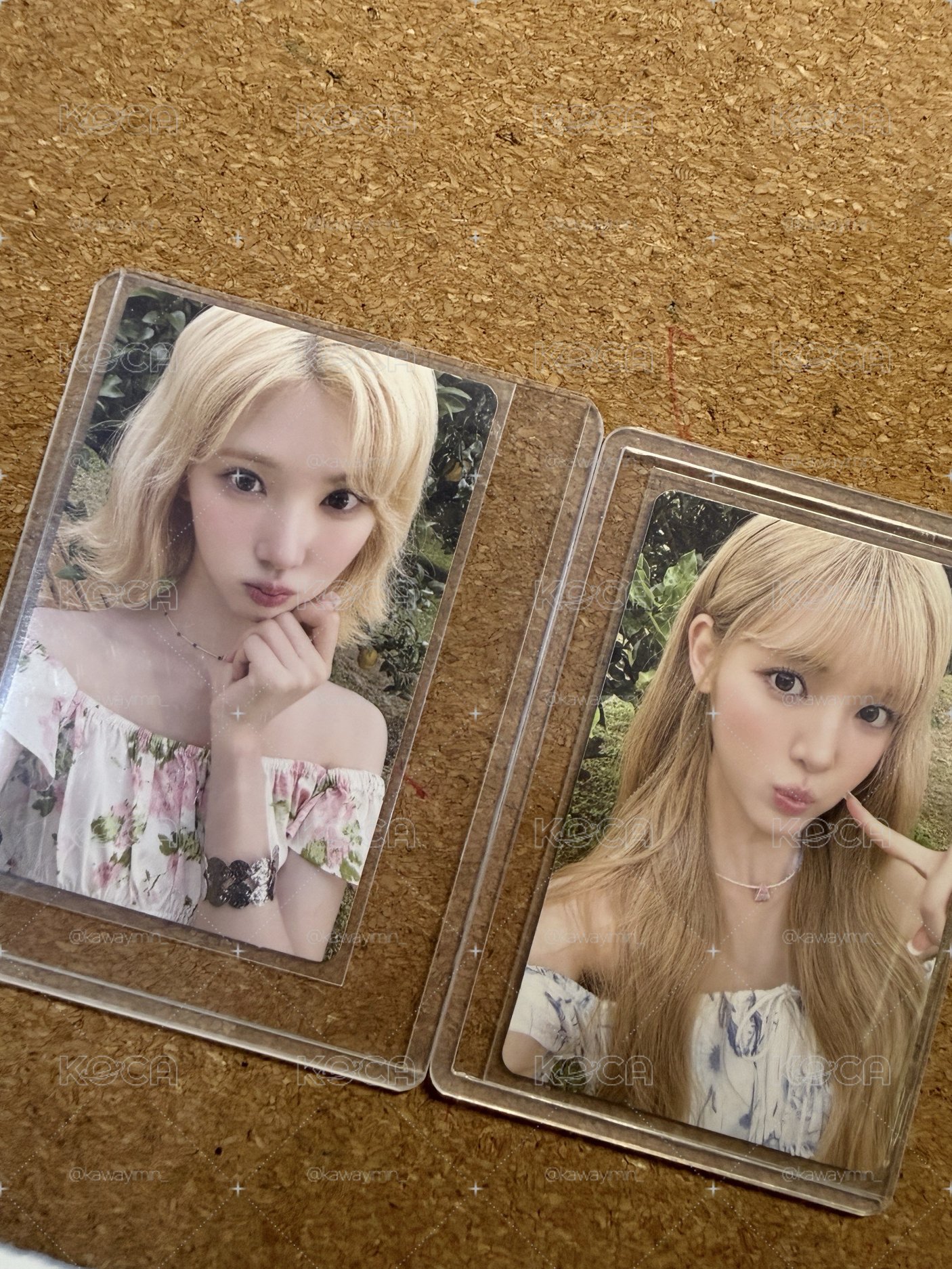 Lemon Tang 白T單卡 jiwoo