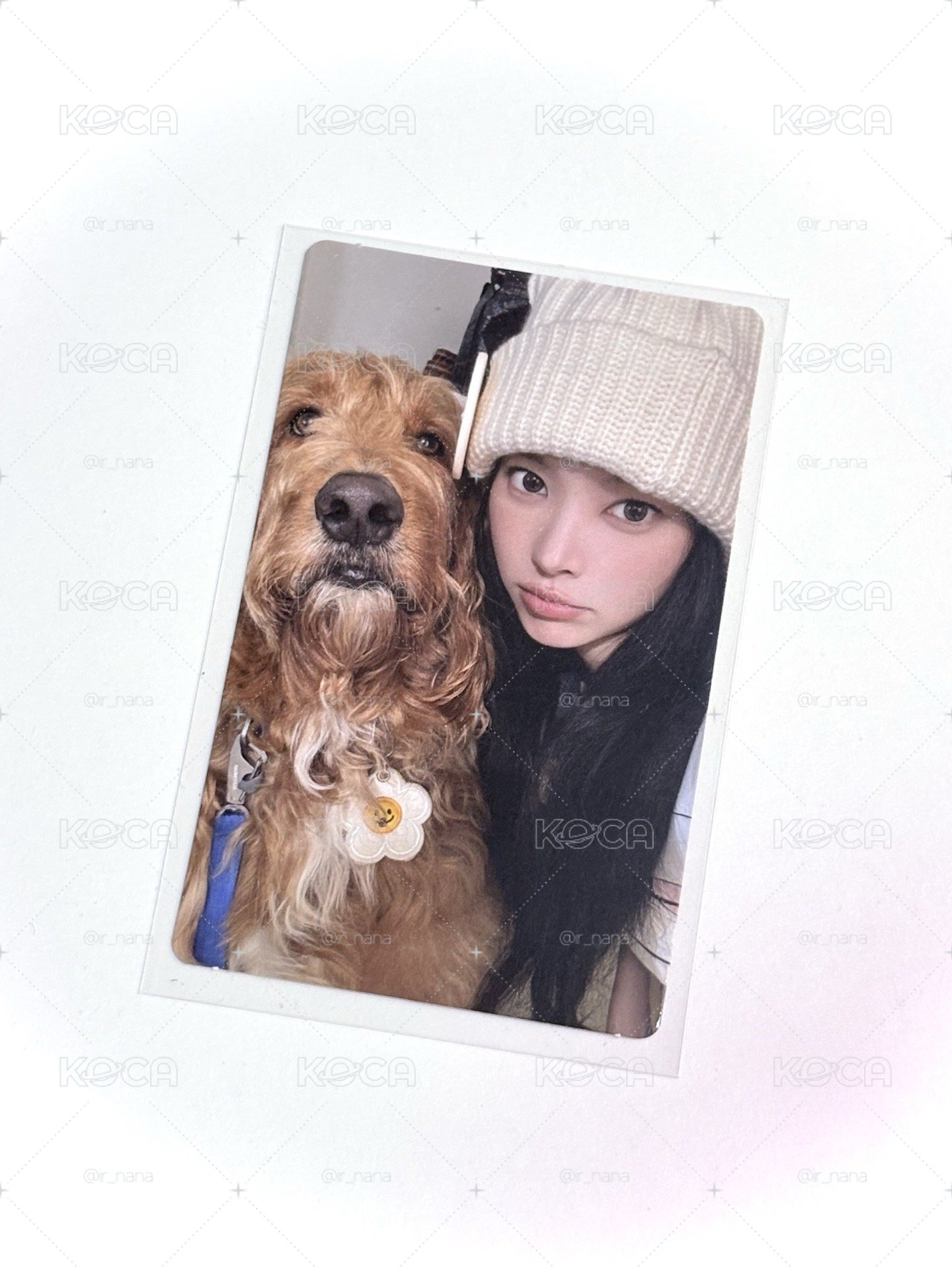 Yunah 狗狗專卡🐶
