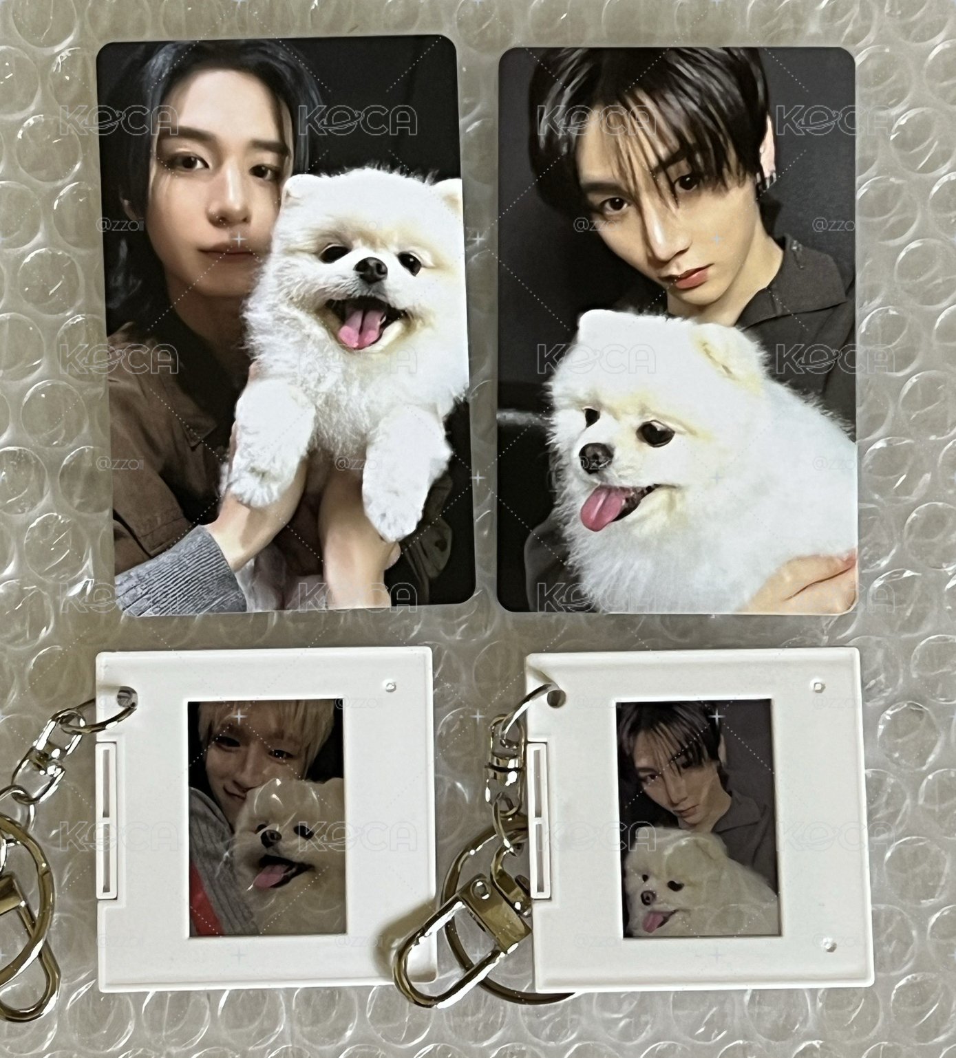 狗狗特典