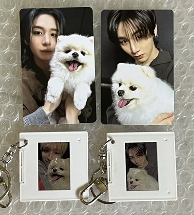 狗狗特典