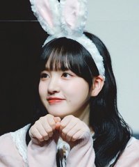 鹿