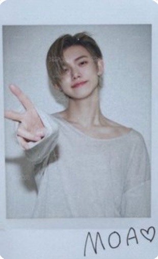 Yolo2 ✌🏻拍立得