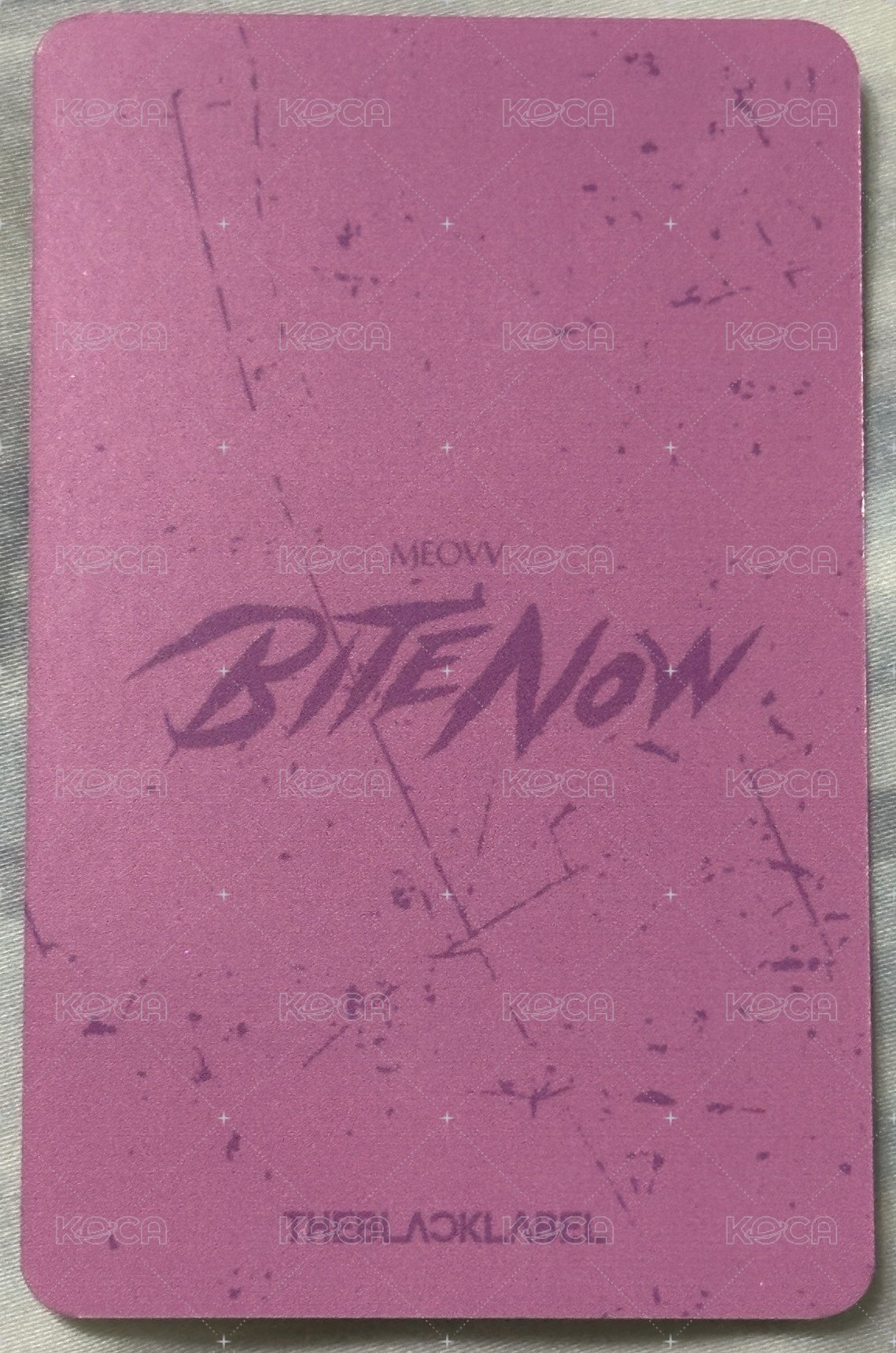 BITE NOW 台北快閃限定 隨機卡  背面