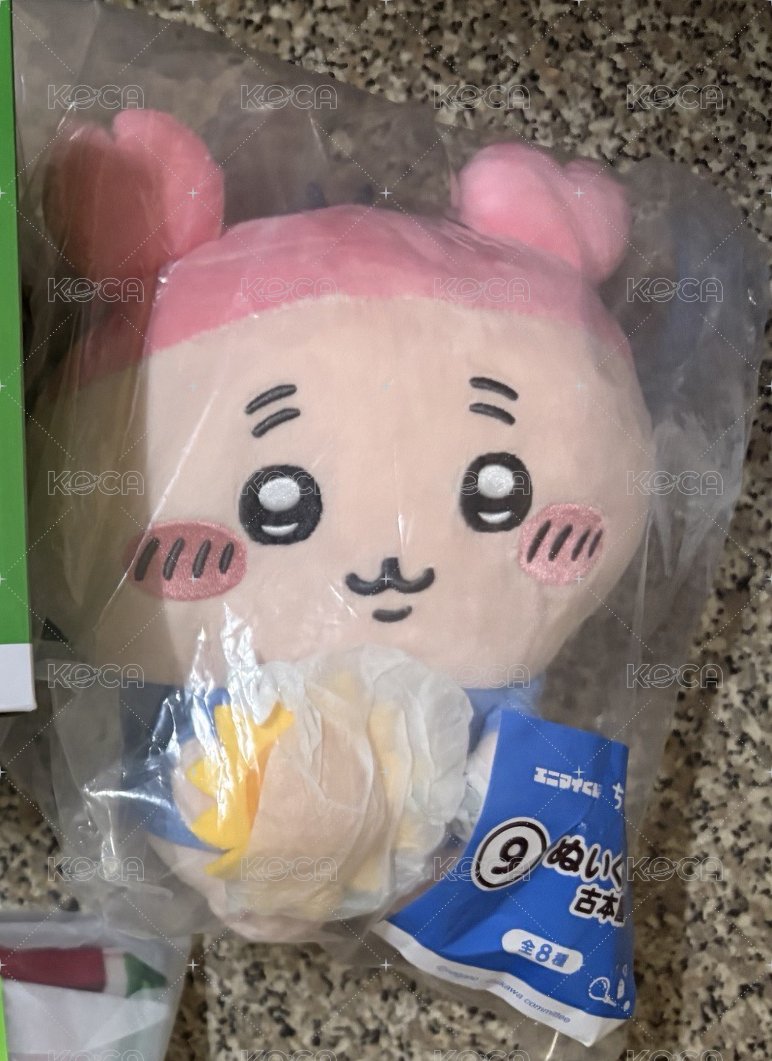 古本 S娃