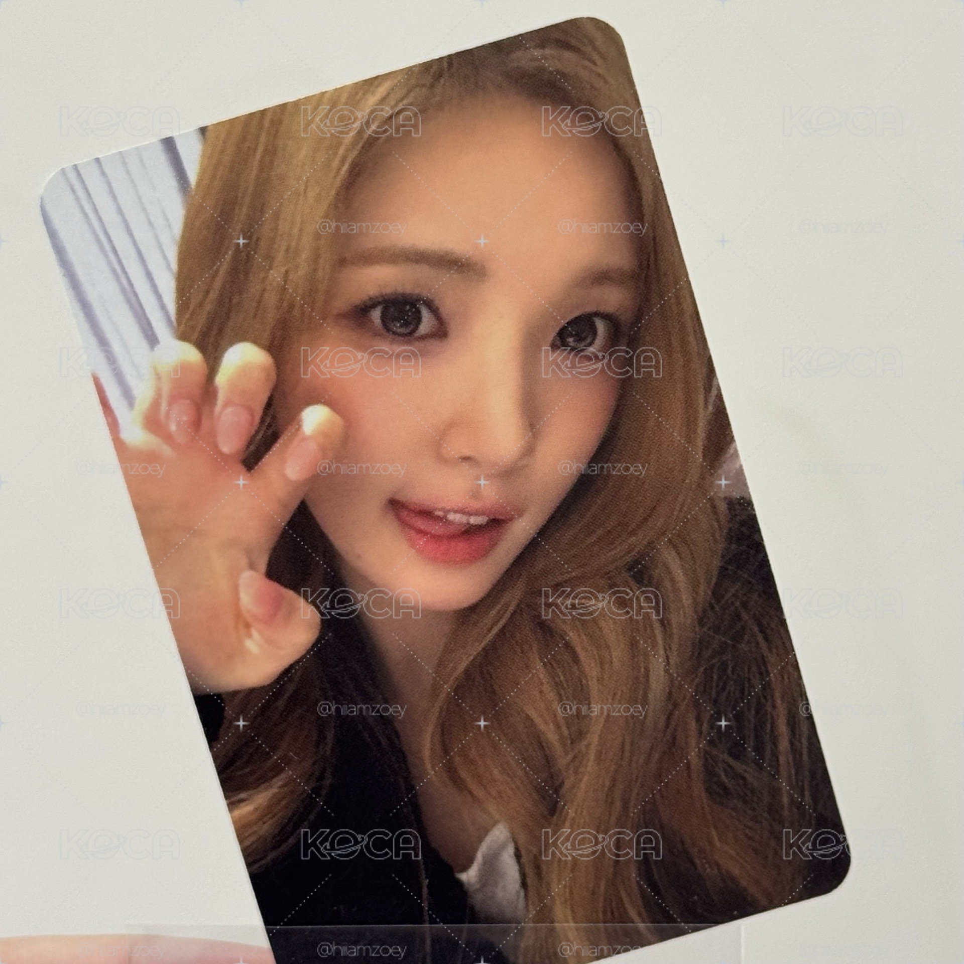 現貨☆Focus sr簽售卡 Yuha 中背