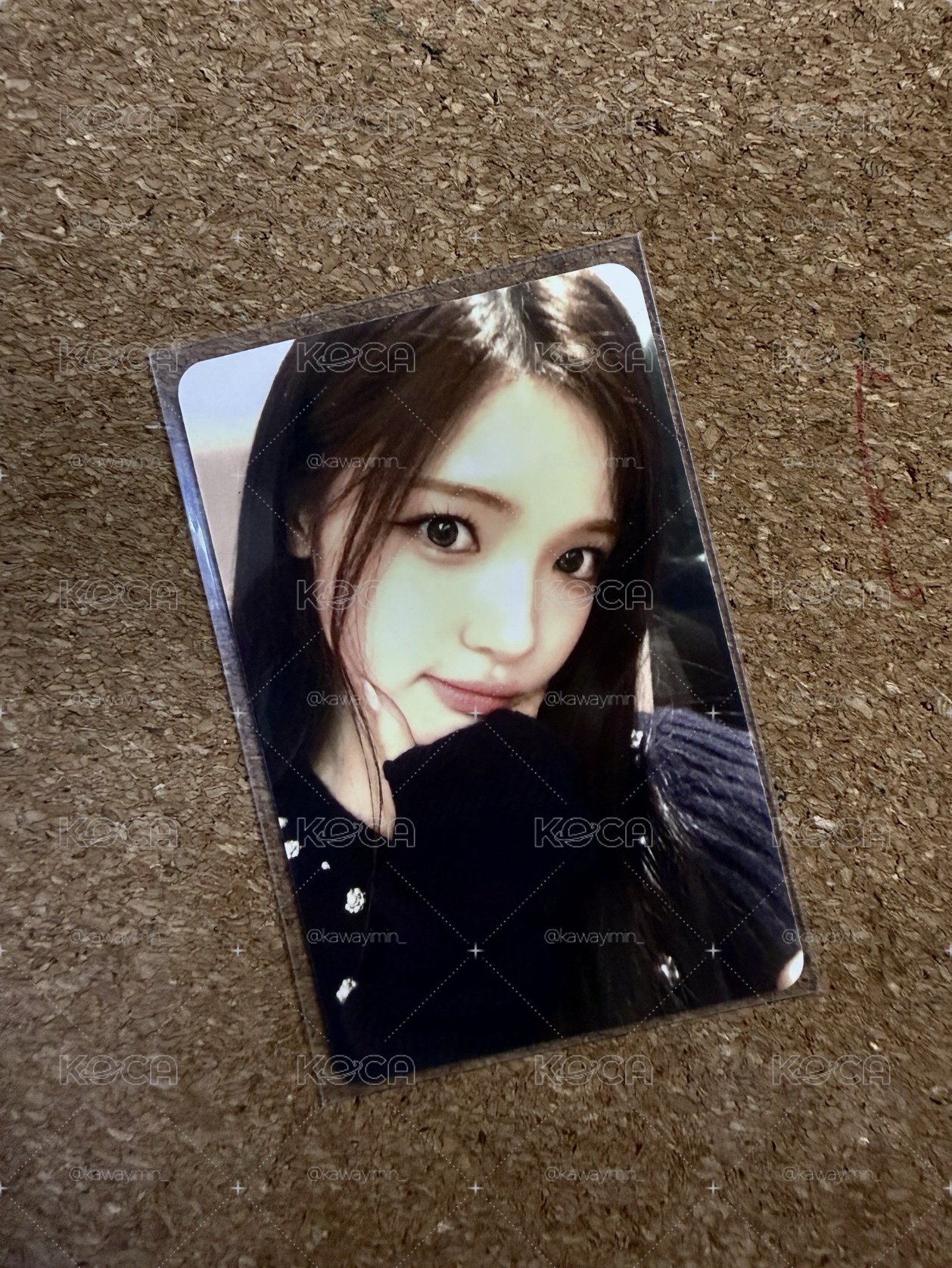 Focus sr 2.0 yuha 中文卡背