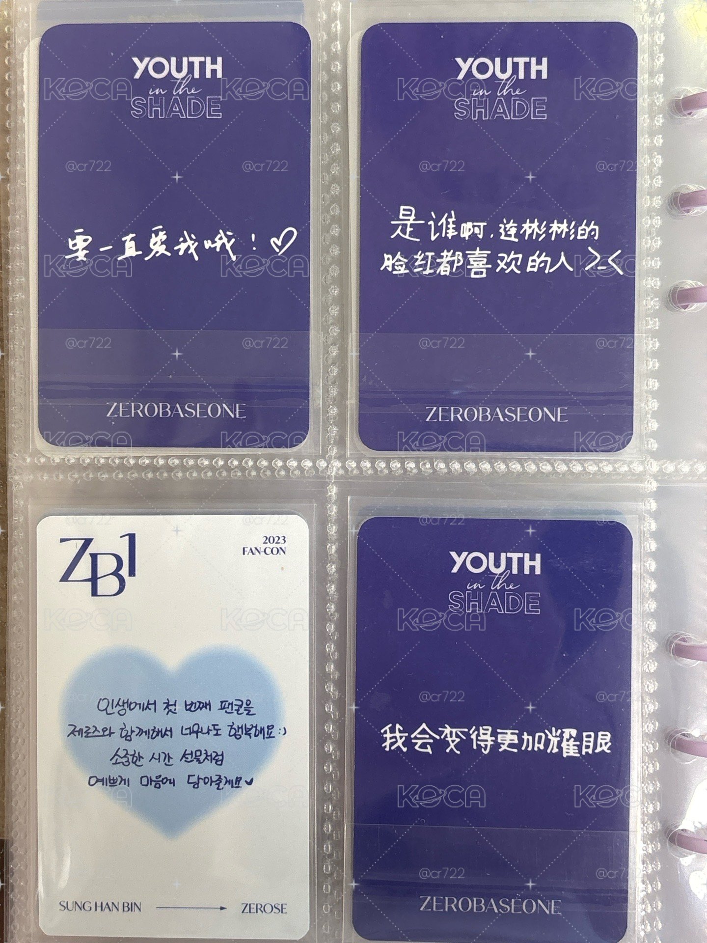 ZB1 小卡 中文卡背