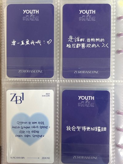 ZB1 小卡 中文卡背