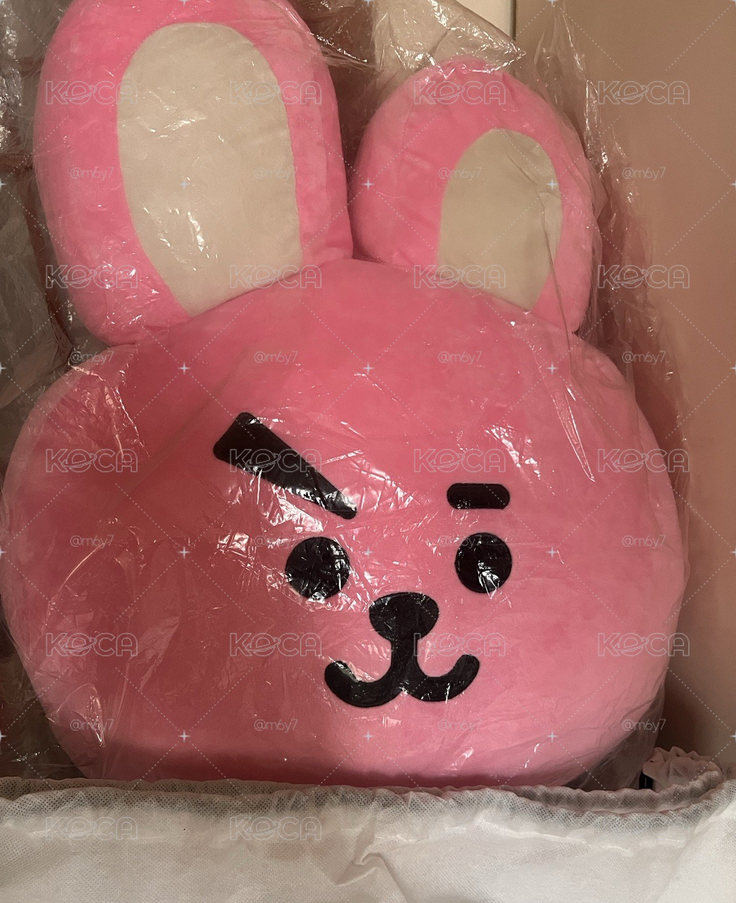 Cooky 初代 抱枕42cm