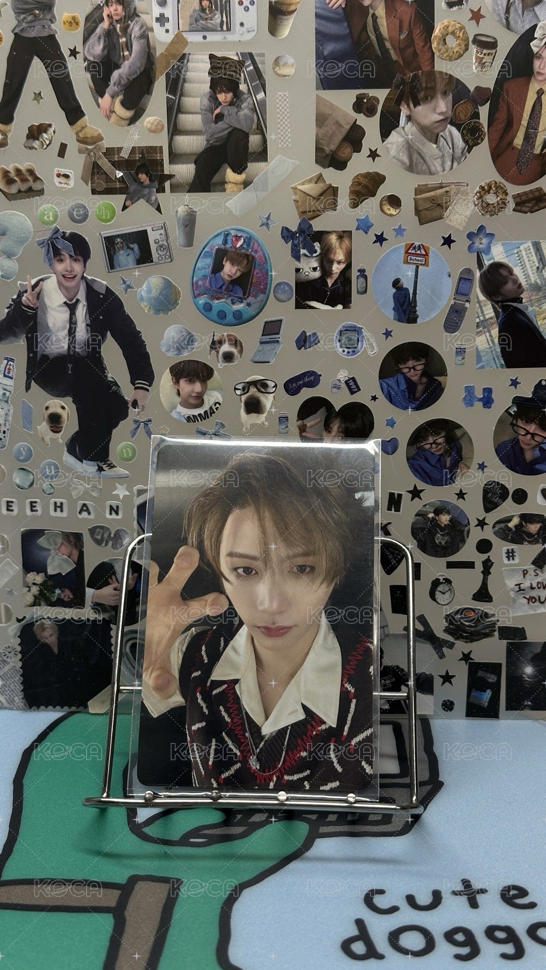 BOYLIFE 專卡 Special版 