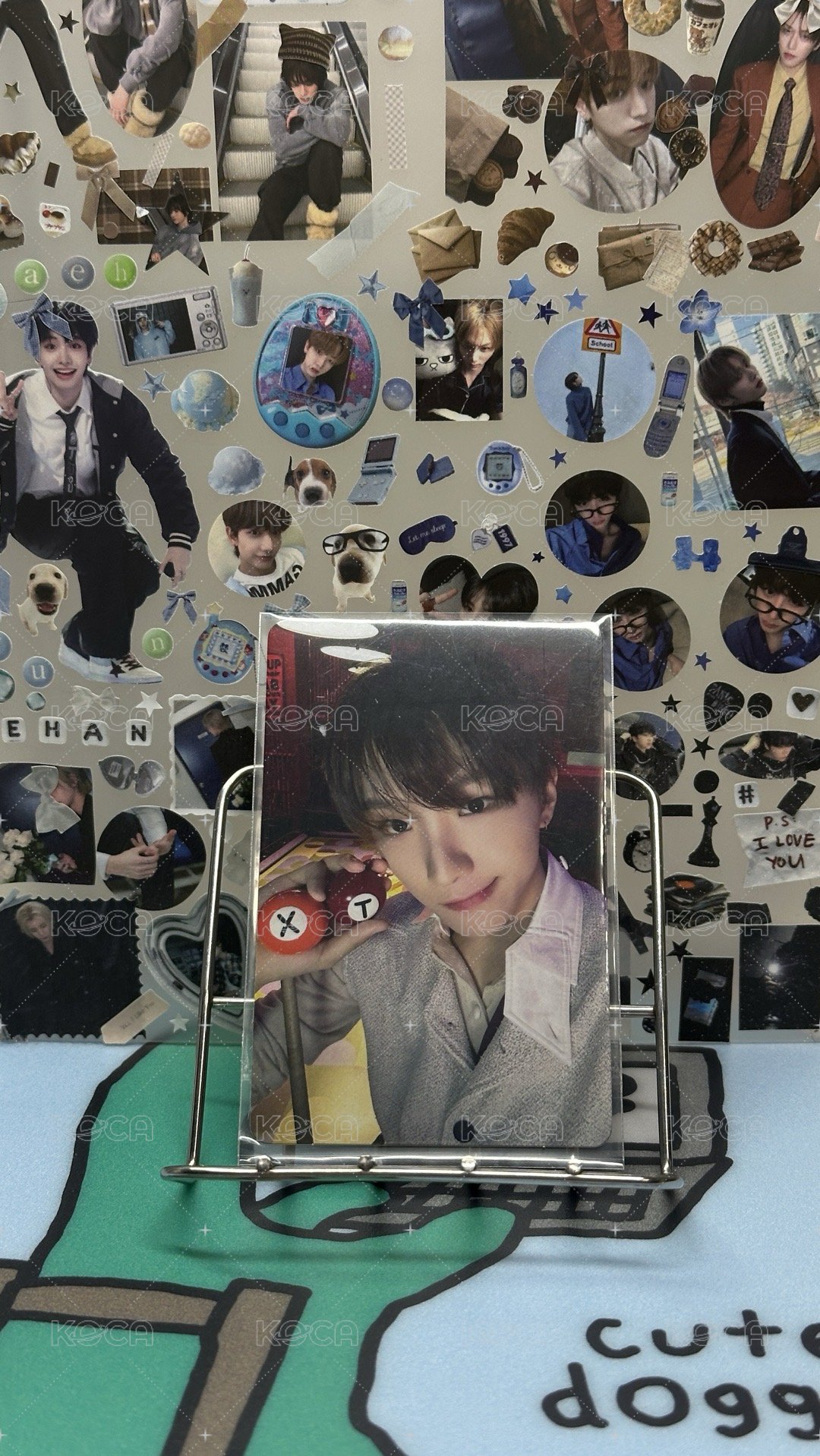 BOYLIFE 專卡 通常盤 