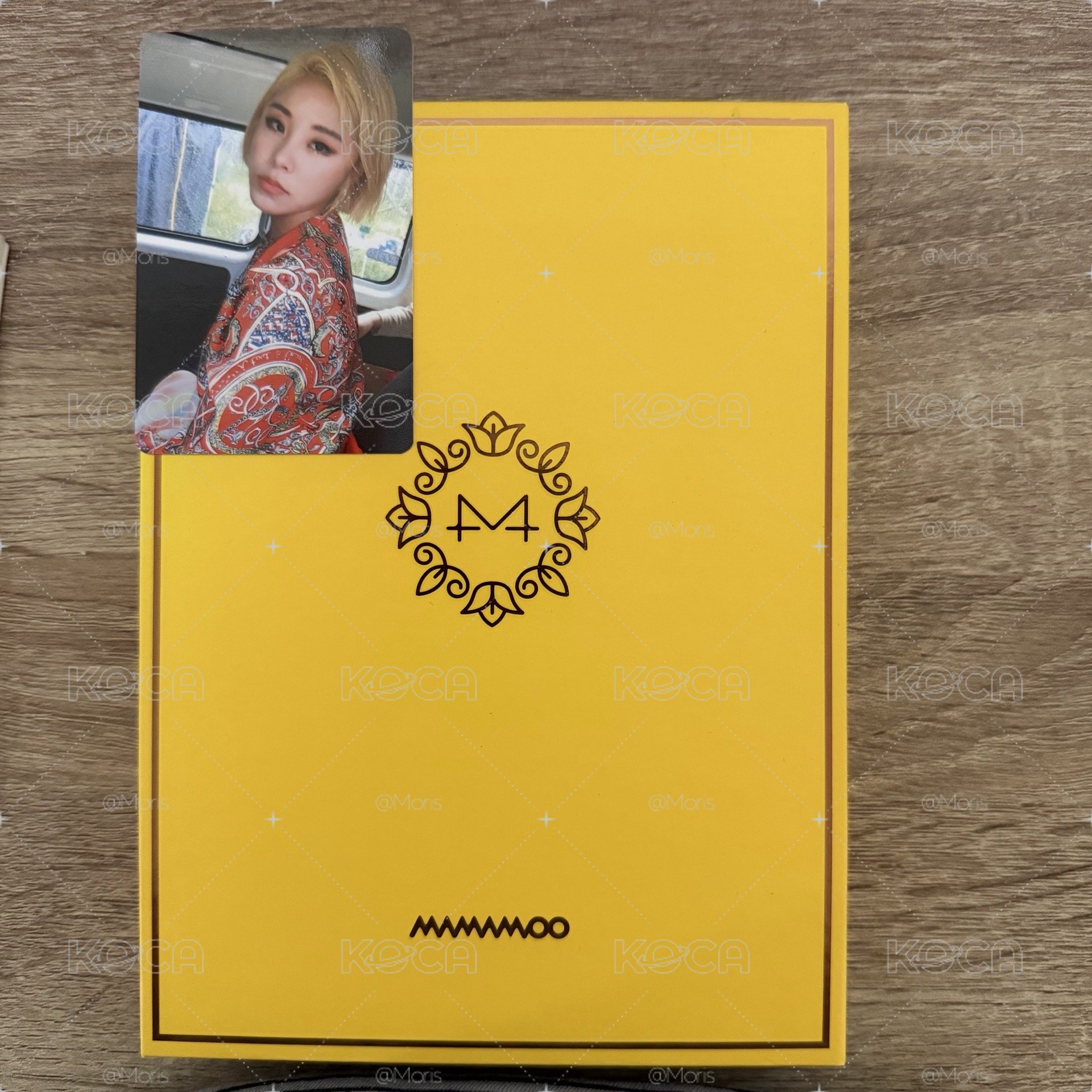 Mamamoo 媽媽木 黃專 Yellow Flower