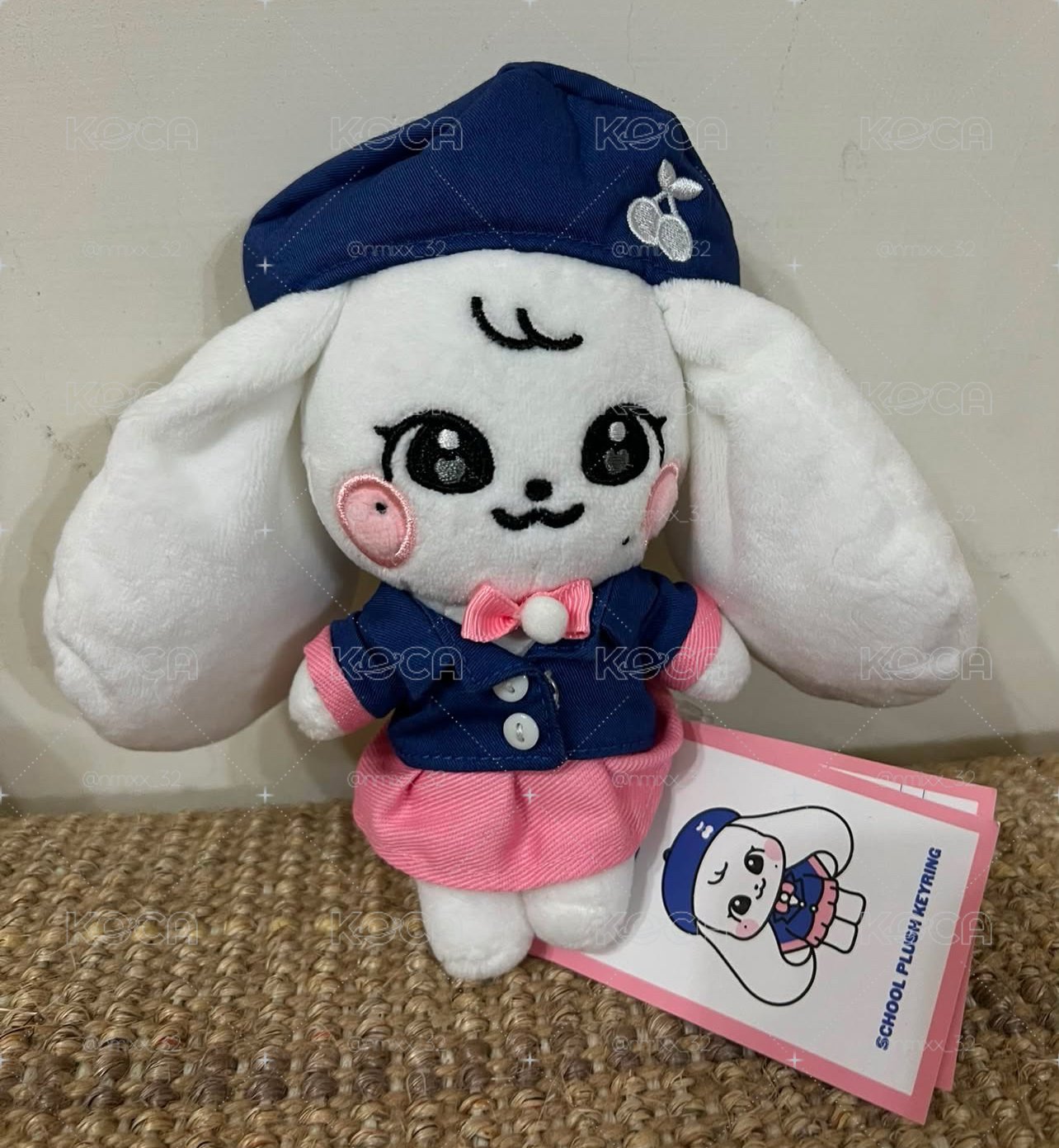 校園娃員