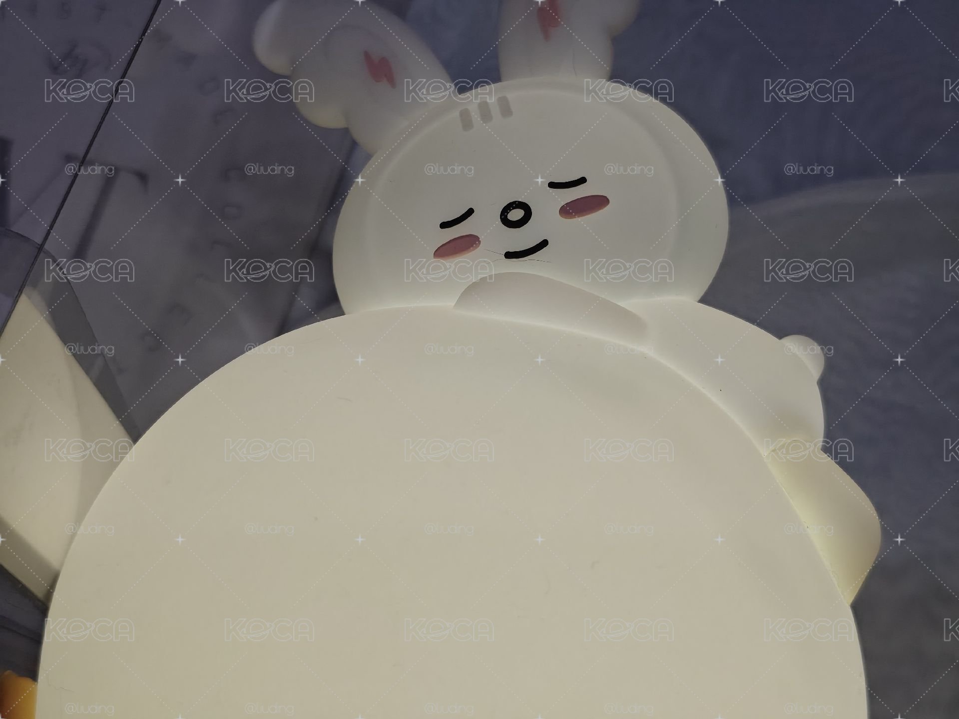 成員自製周邊-淨兔鼠夜燈