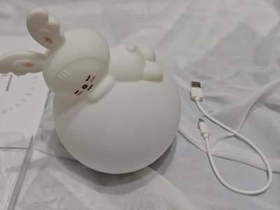 成員自製周邊-淨兔鼠夜燈