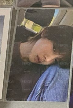 wvs訓
