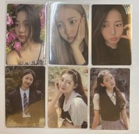 迷一預售禮茶