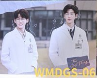WMDGS-06