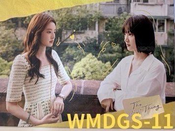 WMDGS-11
