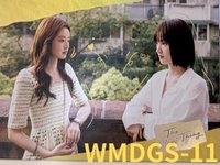 WMDGS-11