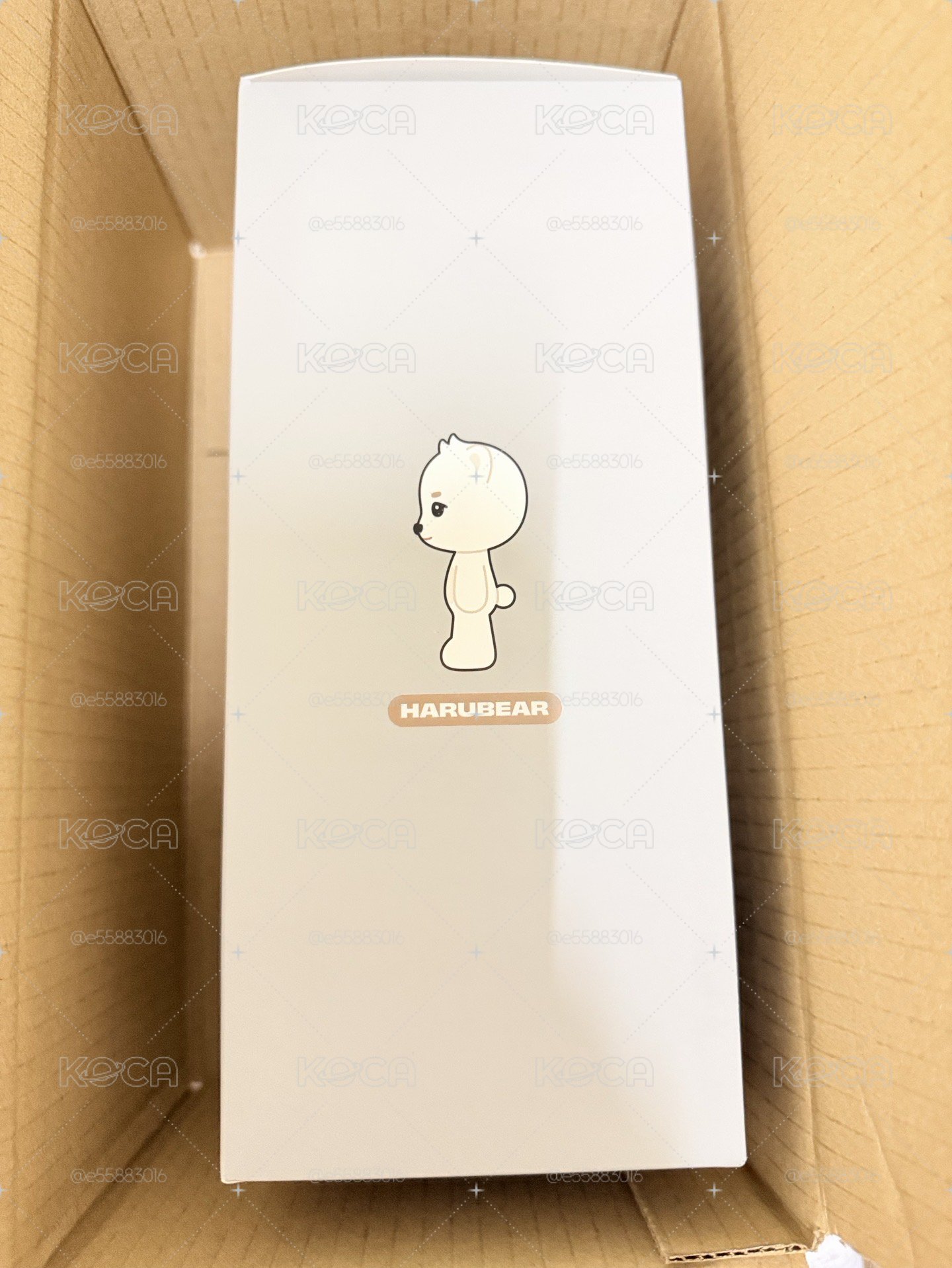 NEXZOO大娃 HARUBEAR+綁物合售