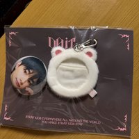 辰徽章組
