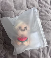 吐貓