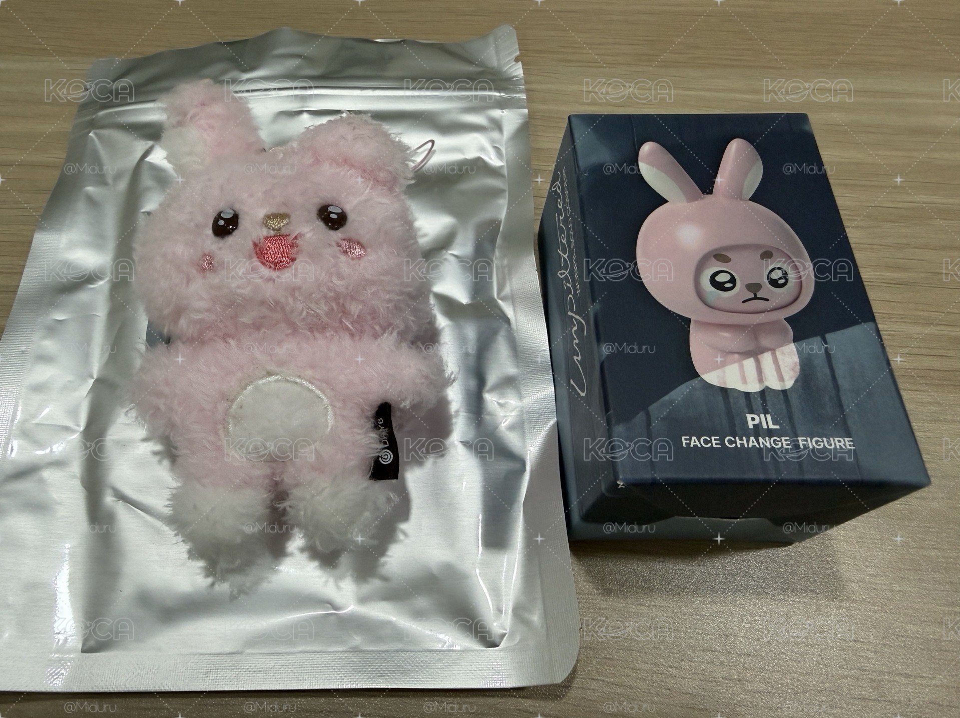 DAY6 🐰元弼 solo控 周邊組合