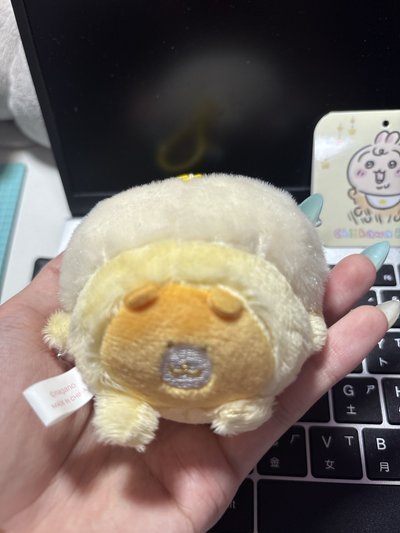 現貨 寶寶兔 烏薩奇 無原袋有吊牌