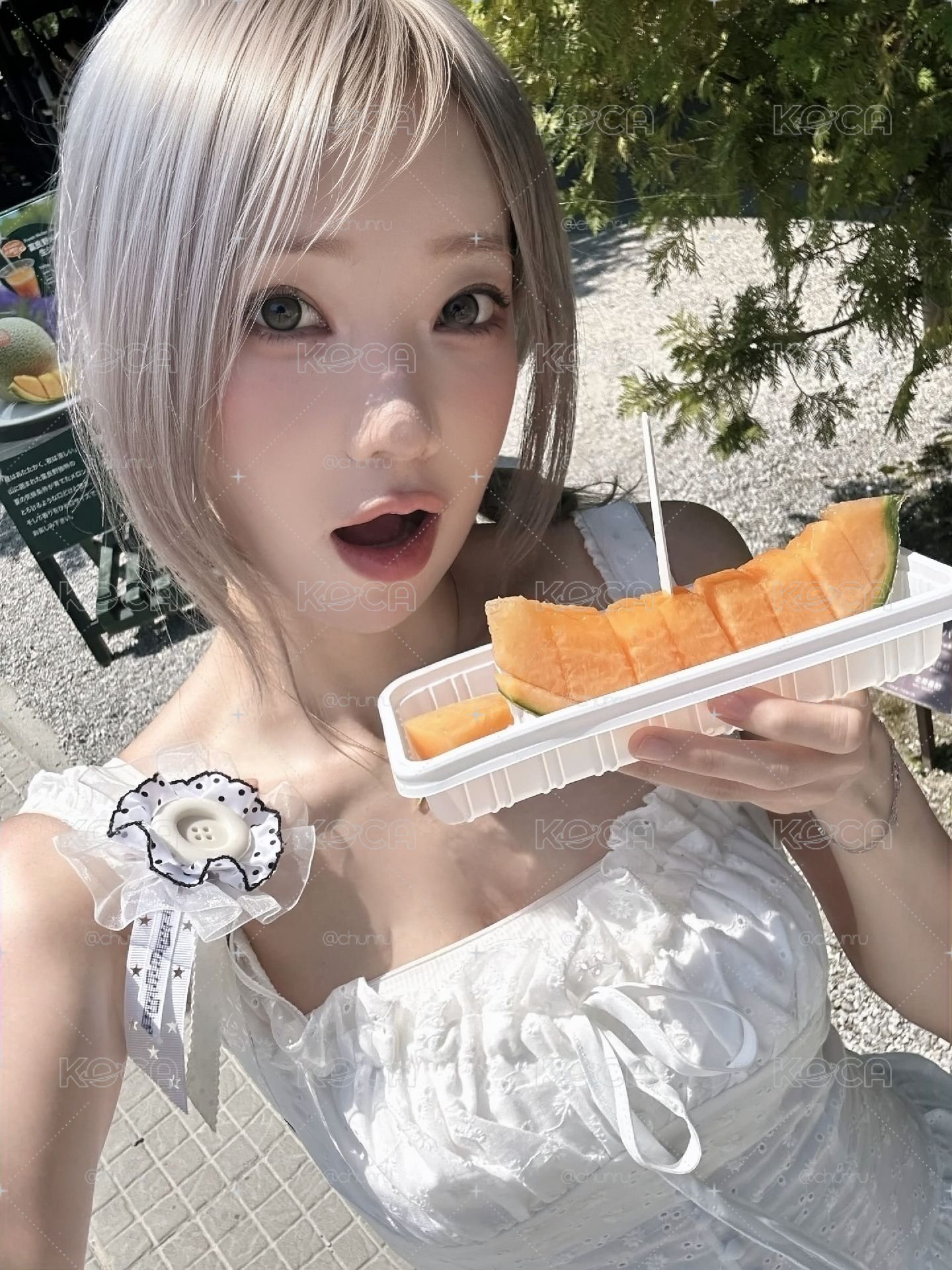 漂亮間塔特典卡🦊💗