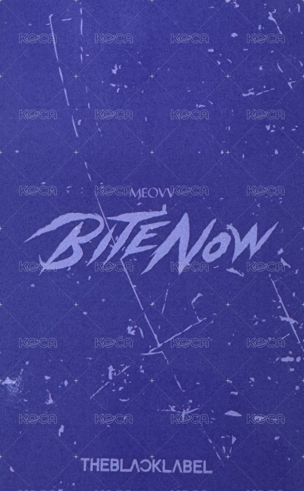 BITE NOW 台北快閃限定 隨機卡  背面