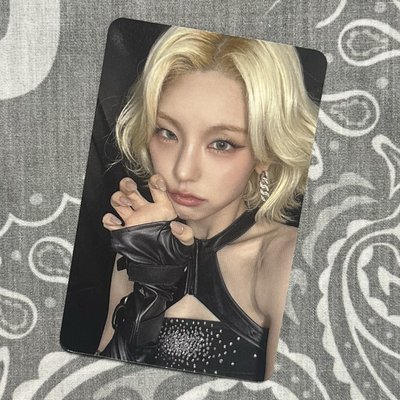 志 TNVS 迷十一 sr B ver. 中背 幸運卡 貓爪