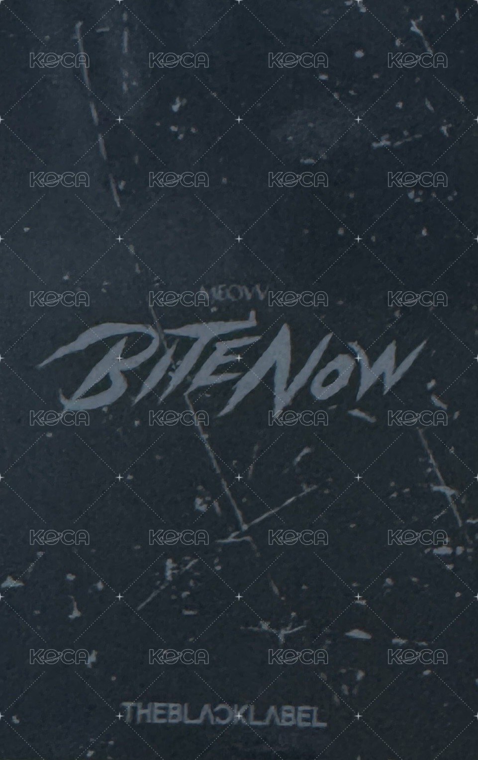 BITE NOW 台北快閃限定 隨機卡  背面