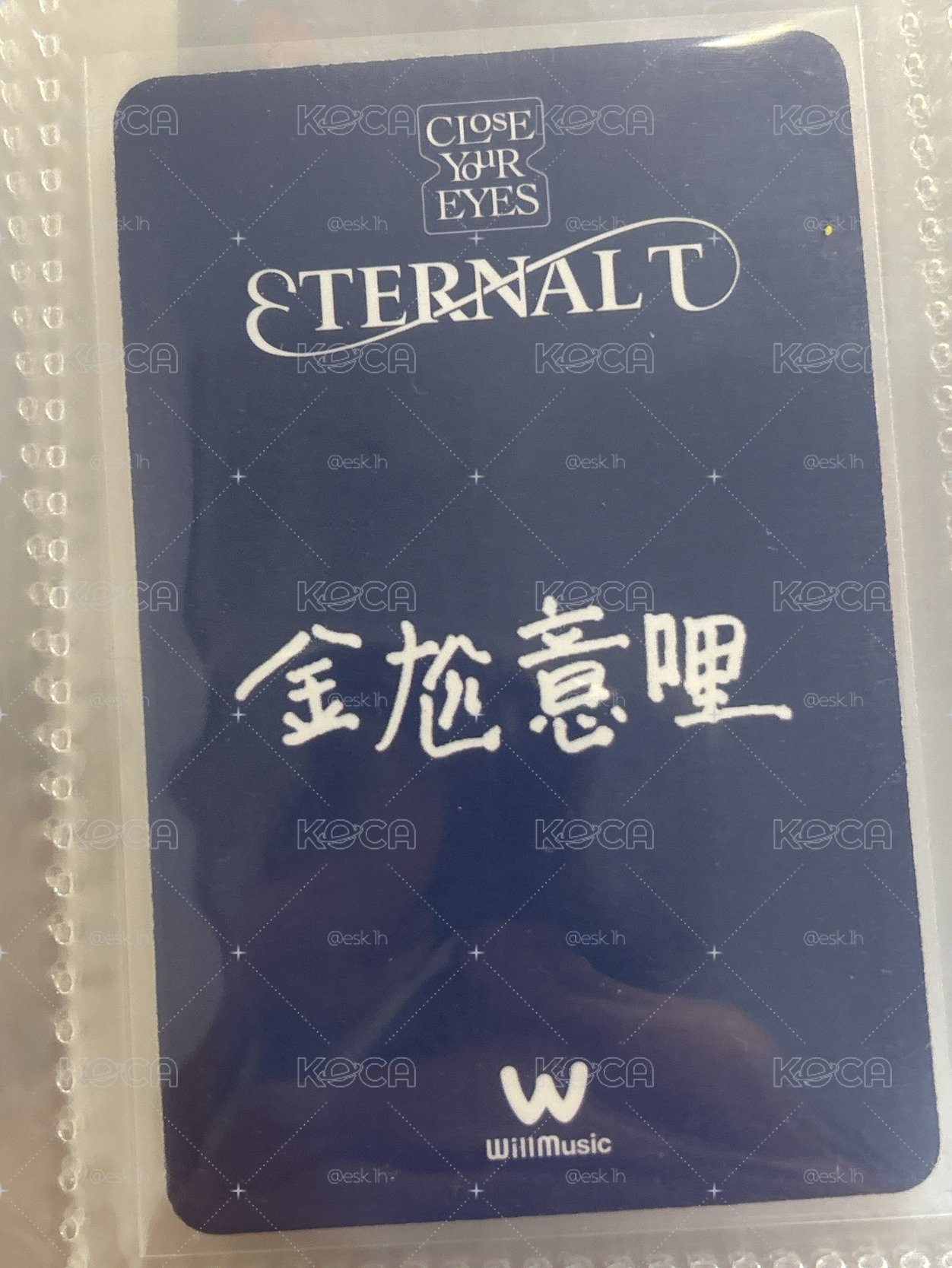 🐰金尬意哩