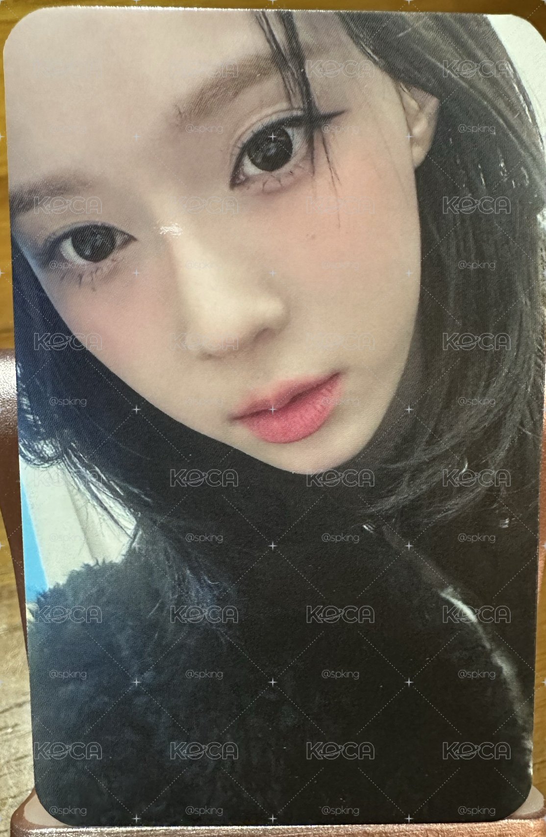 （中背）希林狗狗冬