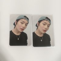 戴帽子酷狐狸