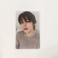 迷人的狐狸