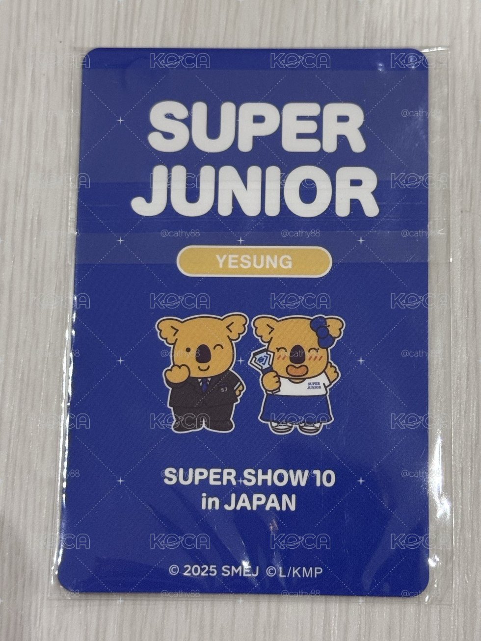 SUPERJUNIOR 藝聲日週小熊餅乾卡