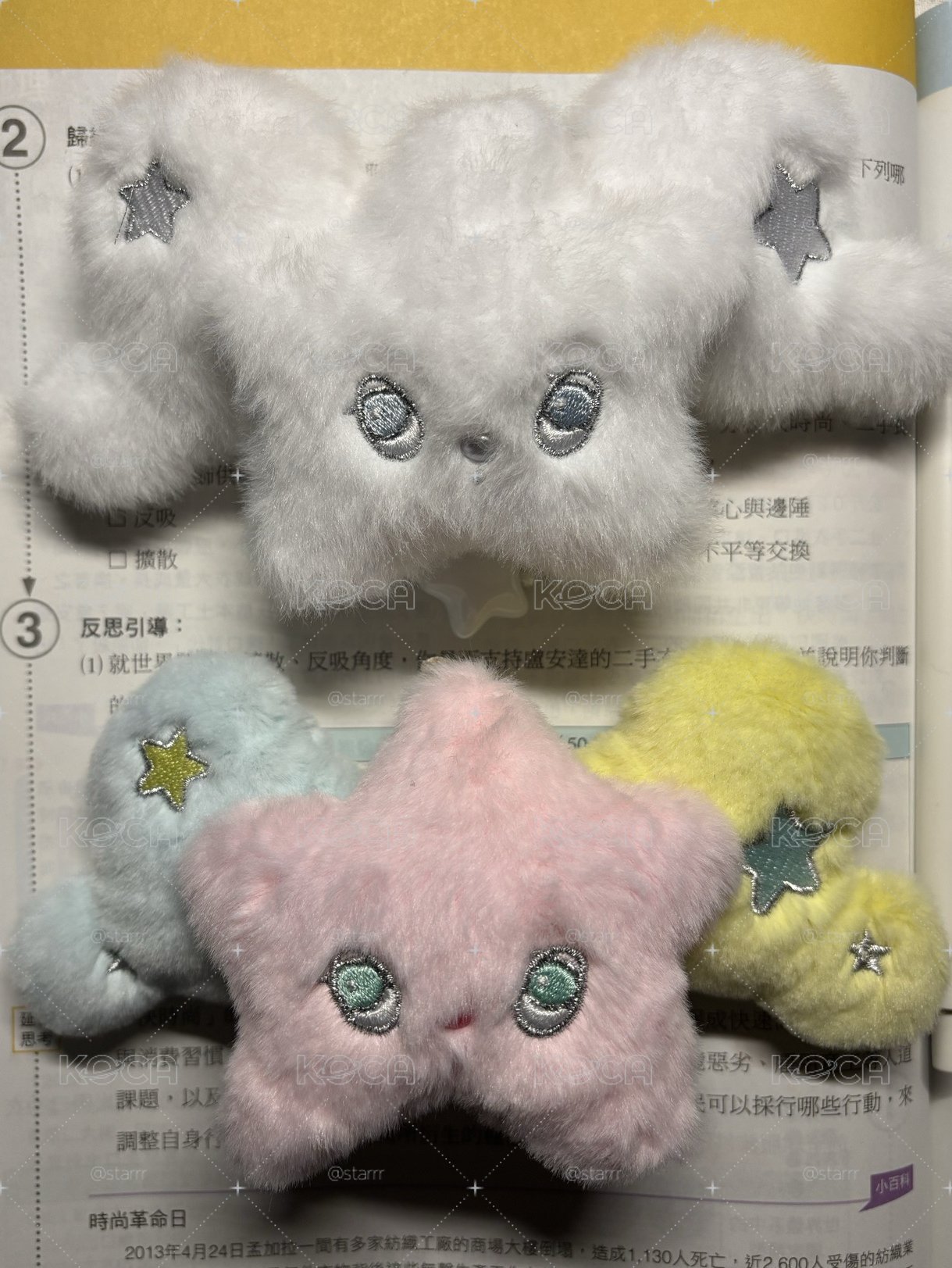 兩隻chu