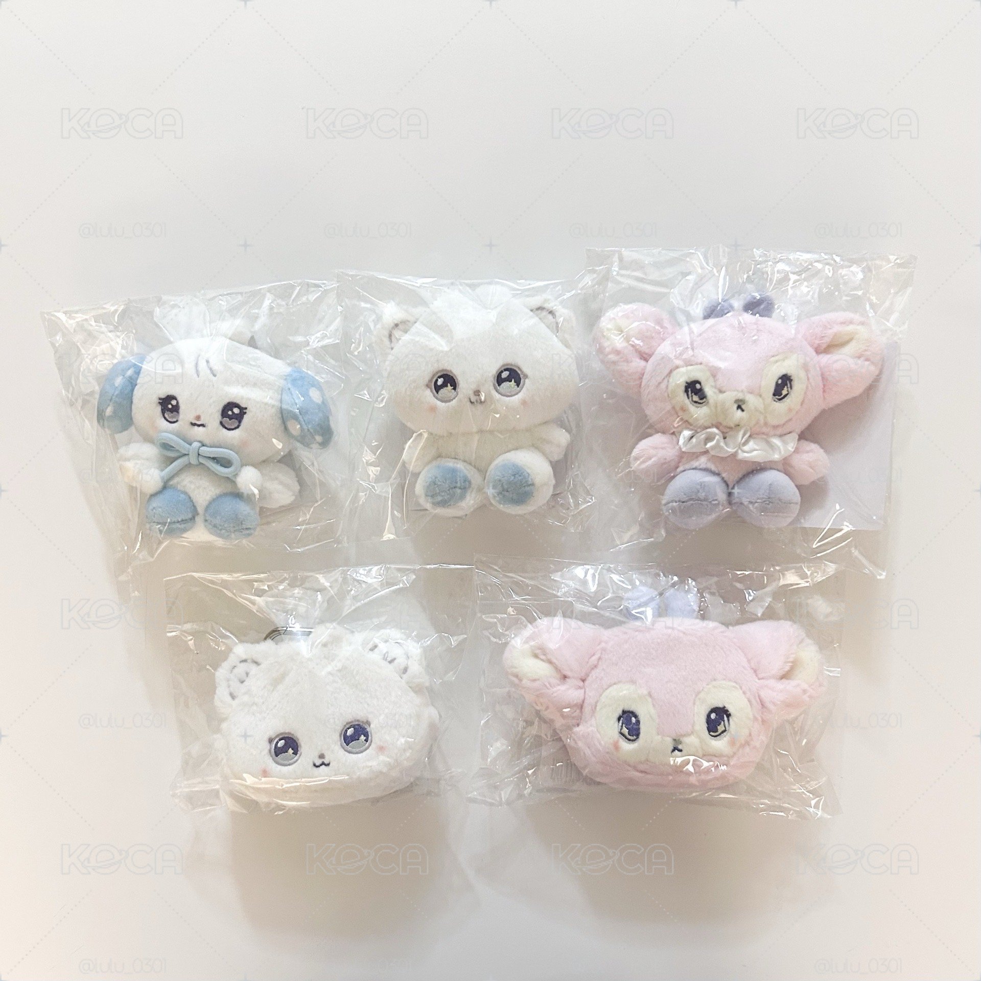 現貨 NMIXX 世巡 日本 周邊 日周 薛 友 嫄